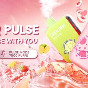 Geek Bar Pulse 15000 Puffs
