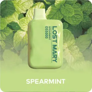 Lost Mary OS5000 Puffs Spearmint