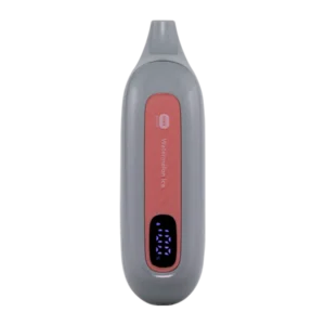 Flonq Max 10000 Puffs 2%MG Watermelon Ice
