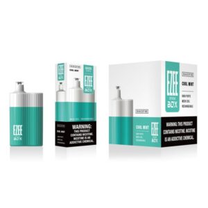 Ezee Stick Box 6000 Puffs Cool Mint