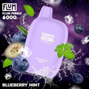 Flum Pebble 6000 Puffs Blueberry Mint