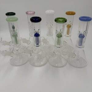 WaterPipe 9" 5mm Thick Beaker with Palm Tree Perc & Ice Catcher