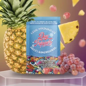 Day Tripper | Mushroom Tabs | 3 Count | Multi-Dimensional