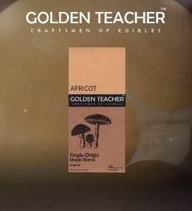 Golden Teacher Craftsmen Of Edibles {Apricot}