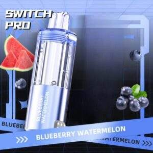 Foger Switch Pro 30K Puffs Pod Only {Blueberry Watermelon}