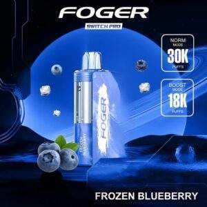Foger Switch Pro 30K Puffs Pod Only {Frozen Blueberry}