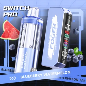 Foger Switch Pro Kit 30K Puffs {Blueberry Watermelon}