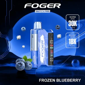 Foger Switch Pro Kit 30K Puffs {Frozen Blueberry}